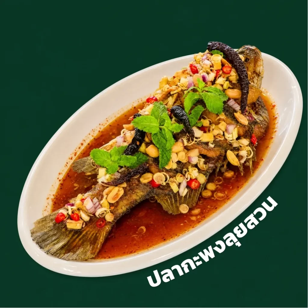 ปลากะพงนึ่งมะนาว เมนูแนะนำ BNP ข้าวต้มทะเล